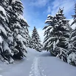 La Perle Des Alpes C2