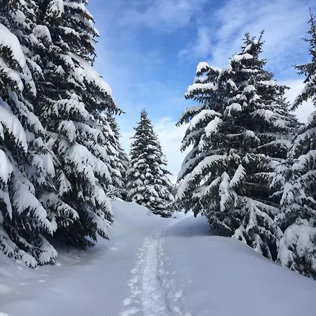 La Perle Des Alpes C2